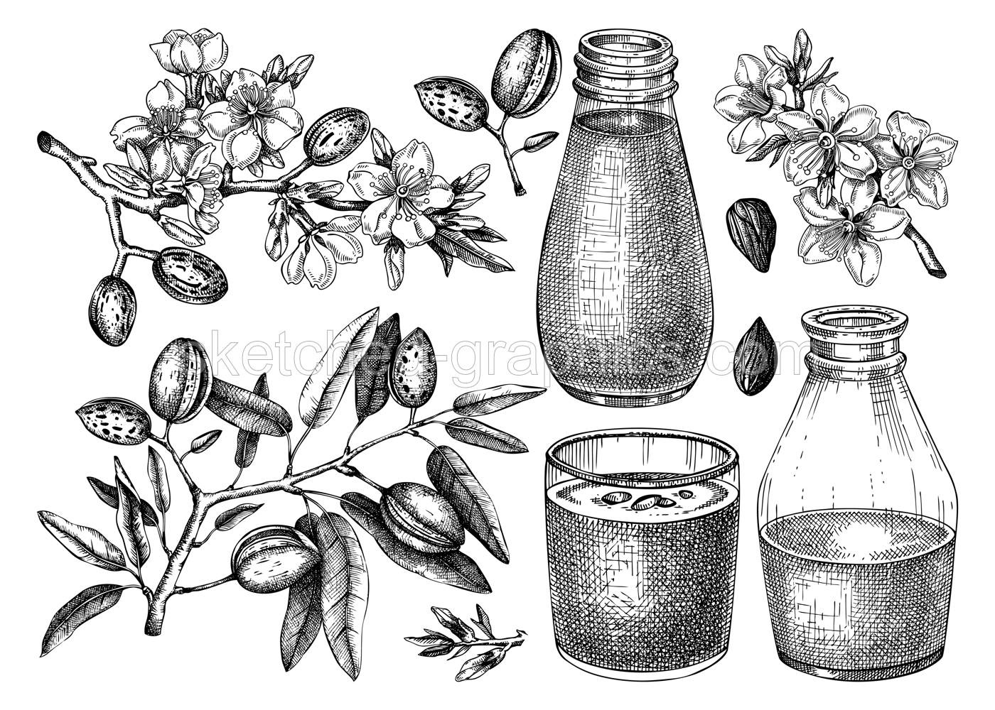 Almond milk set. Dairy products design elements. Plant milk in glass, bottle, almond nut, blooming branches with leaves and flowers sketches. Nut milk, healthy drink vector illustrations for packaging Illustration